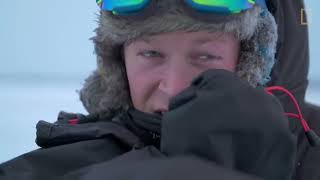 Male Polar Bear Fight Club - Ep. 2 | Wildlife: The Big Freeze