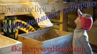 МЕЛЬНИЦА в работе, Пушкинская деревня.