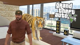 КУПИЛ ТИГРА! - GTA 5 РЕАЛЬНАЯ ЖИЗНЬ