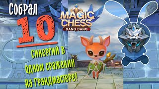 Собрал 10 синергий в матче на Грандмастере в Magic Chess Mobile Legends Bang Bang