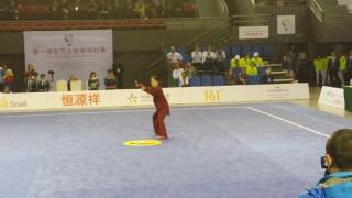 第一屆世界太極拳錦標賽 - 比賽項目 ．1st World Taijiquan Championships