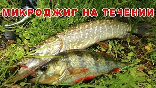 Микроджиг на сильном течении. Ловля окуня на сильном течении. Как ловить на микроджиг?