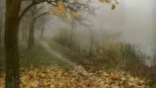 GIOVANNI MARRADI - Autumn Leaves