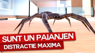 Sunt un Paianjen !