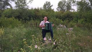 Татарские песни под гармонь - Сover на Марата Лукманова