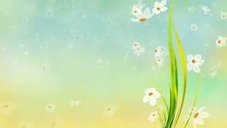 Футаж - фон ЦВЕТЫ МЕЧТЫ скачать бесплатно