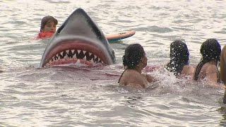 Câmeras Escondidas - Ataque de Tubarão - (Brazilian Prank: Sharks Attack) Programa Silvio Santos