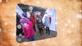 Экскурсия в эко питомник собак породы Сибирский хаски