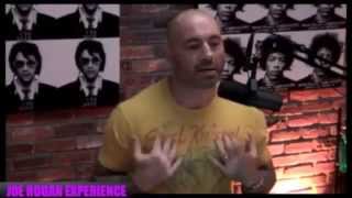 Joe Rogan on self-defence martial arts