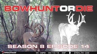 Summertime Scouting For Deer in IL, WI and MN | Bowhunt or Die S08E14