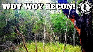 I head to known YOWIE HOTSPOT for investigation || WOY WOY || TREE KNOCKS || Australian Sasquatch