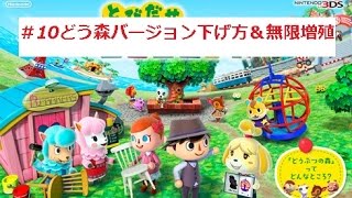 #１０】とびだせどうぶつの森【実況】バージョンと増殖の関係