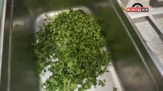 Слайсер для нарезки овощей спаржа, баклажаны, укроп и петрушка