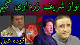 ASIF ZARDARI NAWAZ SHARIF GET NRO TO IMRAN KHAN |SIDDIQUE JAN HAQEEQAT TV SPOT GOVT | HAQEEQAT NEWS