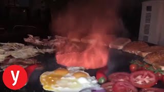 גן עדן לקרניבורים בחוות סוסים ברמת השרון