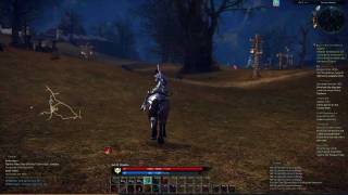 TERA NA CBT2 LVL 27 High Elf Archer