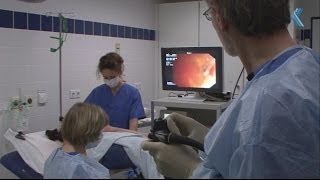 Die Koloskopie - der Blick in den Darm | Klinikum Stadt Soest