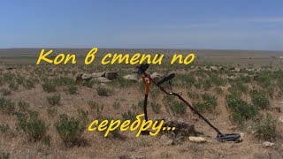 Супер коп в степи.Столько серебра я ещё не находил