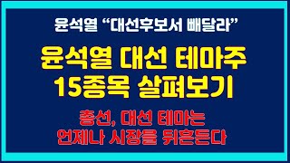 [주식] 윤석열 대선 테마주 15종목 살펴보기