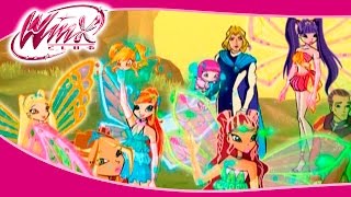 [DuBattle#5] Winx Club - Enchantix [4Kids vs RaiEnglish]
