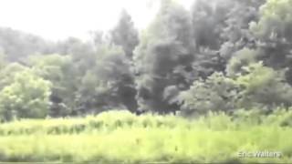 See 'Bigfoot' caught on camera by holidaymaker walking his dog in North Carolina (VIDEO) Breakdown