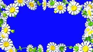 Футаж Рамка из Ромашек. Детские Футажи. Ромашки на хромакее. Футажи Рамки