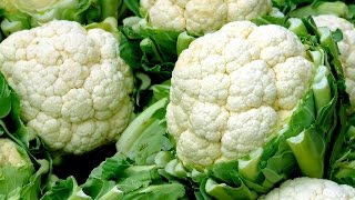 Como Plantar Coliflor En El Huerto || Cultivo Coliflor || La Huertina De Toni