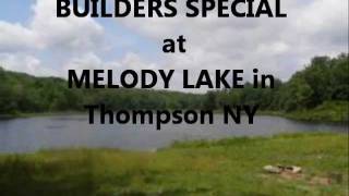 Land For Sale Hemlock Dr - Thompson NY