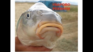 Рыбалка в Крыму. Уварово. Реквием.