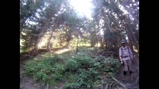 MTB Technique - All Mountain Lesson 3, Roots