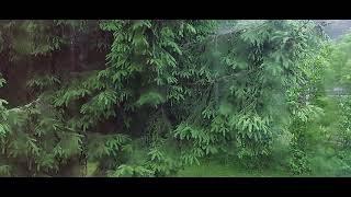 шум дождя ,хороший сон ,отдых,Расслабляющий дождь