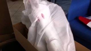 Hobby King T-45 Goshawk 64mm EDF Ducted Fan Unboxing - iPhone 4 Video and Edit