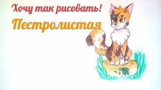 Как нарисовать Пестролистую Коты Воители How to draw Spottedkit Warriors Cats