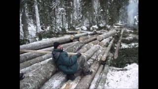 ТРАКТОР МТЗ 82//ПЕРВЫЙ ДЕНЬ В ЛЕСУ//БЛИН КОМОМ