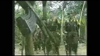 YouTube ANGER: The Sexy Colombian Rebel Striptease & OWNage Grill