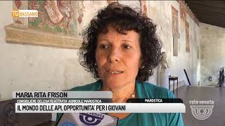 TG BASSANO (21/09/2017) - IL MONDO DELLE API, OPPORTUNITA’ PER I GIOVANI