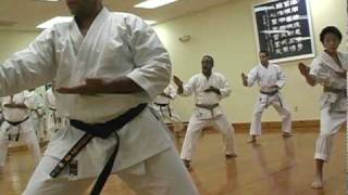 Traditional Shotokan Karate Heian Nidan