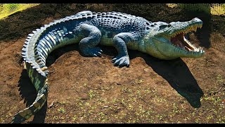 Смертельно опасные — Австралия Документальные фильмы Discovery HD