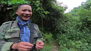 Gặp chính chơi ong.và ong khoái khủng