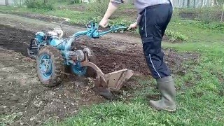 Мотоблок МТЗ-12 весенняя вспашка в свал.