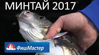 Ловля минтая на "Саркофаге". Владивосток  2017