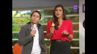 Grecka proveedor oficial de Palettas Chile.