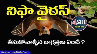 How to Nipah Virus Spread ?