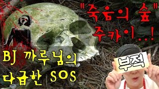 (BJ욕쟁이꽃무당) 꽃무당 부적빨 믿고 일본 주카이숲으로 떠난 BJ까루님!!!