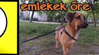 Emlékek őre