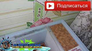 Индюшата