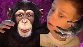 ОБЕЗЬЯНА УМНЕЕ МЕНЯ? | ТРОЛЛЬ-БОТ | ChimBot
