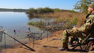 Рыбалка с Ночёвкой. Закидушки(донки)Крупный карась на Чеснок.Суп Кондей.Красота!