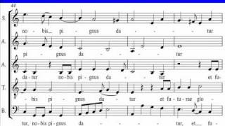Tallis-O Sacrum Convivium-Bass