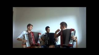 Avicii - Wake Me Up ( Crazy Accordion Trio Cover )